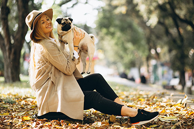 Hypoallergenes Futter für Hunde