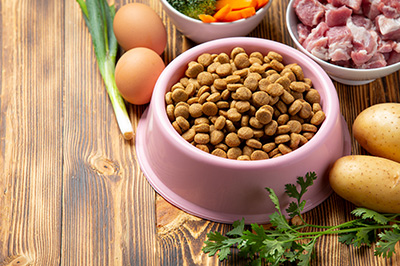 Wissenswertes über hypoallergenes Hundefutter