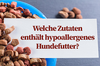 Welche Zutaten enthält hypoallergenes Hundefutter?