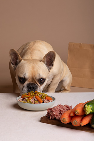 Jeder Hund ist anders: Wie findet man das richtige hypoallergene Hundefutter?